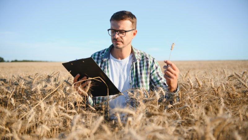 WhatsApp-Image-2025-10-30-at-23.46.55_653c870b-1